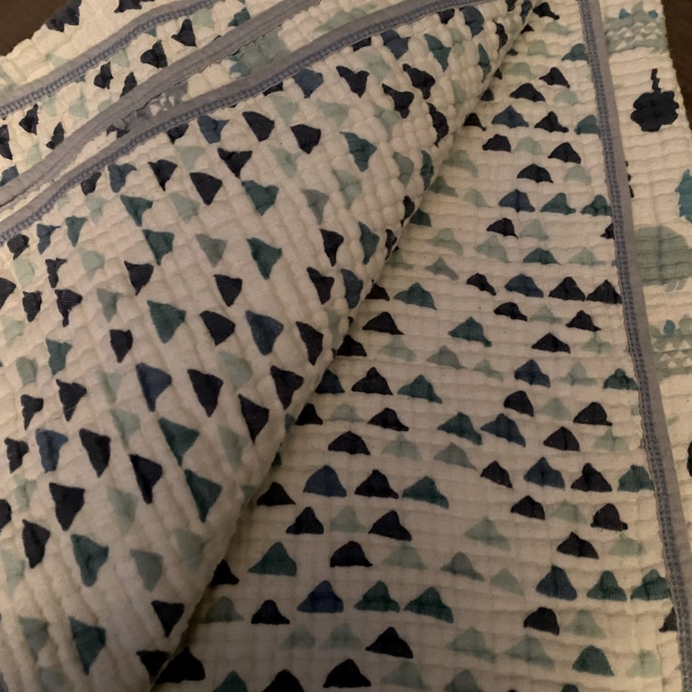 Aden + Anais Dream blanket